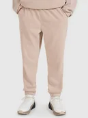 Spodnie męskie - 4F Spodnie dresowe joggery męskie 4FRSS25TTROM1476-83S Brązowy Roz. XL - miniaturka - grafika 1