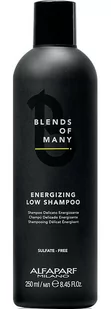 Alfaparf Blends Of Many szampon energetyzujący, wzmacniający do włosów 250ml 14196 - Szampony dla mężczyzn - miniaturka - grafika 1