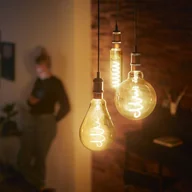 Żarówki LED - Philips E27 LED globe G95 3,1W 1 800 K złota - miniaturka - grafika 1