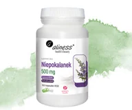 Suplementy naturalne - Niepokalanek 500mg. Suplement diety Aliness - miniaturka - grafika 1
