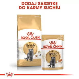 ROYAL CANIN British Shorthair 2kg + niespodzianka dla kota GRATIS! - Sucha karma dla kotów - miniaturka - grafika 4