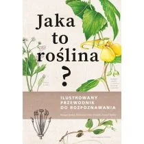 Jaka to roślina? Ilustrowany przewodnik do rozpoznawania - Dom i ogród - miniaturka - grafika 1