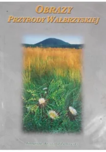 Obrazy przyrody Wałbrzyskiej - Albumy krajoznawcze - miniaturka - grafika 1