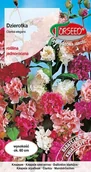 Nasiona i cebule - Dzierotka mieszane Clarkia elegans 1g - Torseed - miniaturka - grafika 1