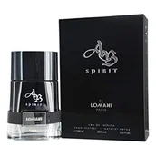 Wody i perfumy męskie - Lomani AB Spirit, woda toaletowa, 100 ml - miniaturka - grafika 1