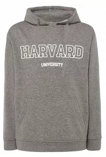 Bluzy męskie - ﻿Bluza męska nadruk napis HARVARD r.XXL - grafika 1