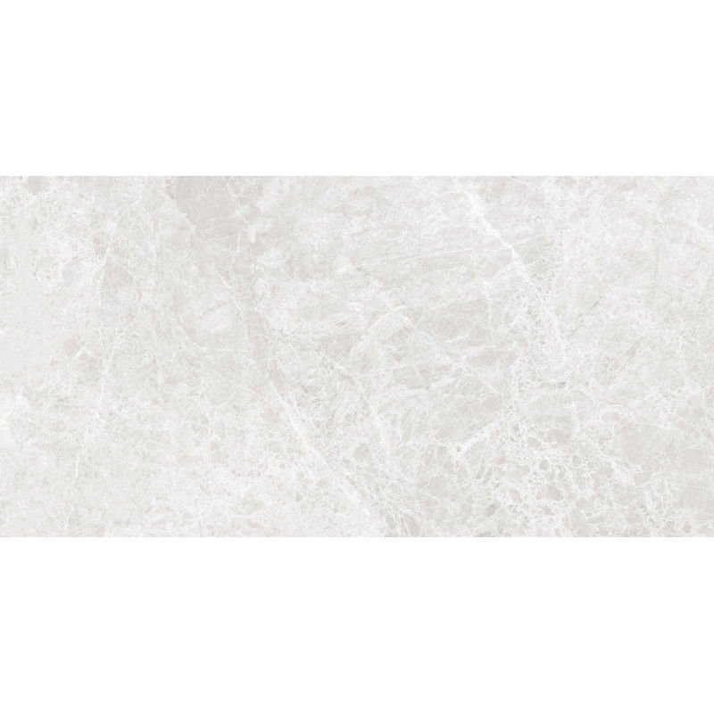 Mexen Lizard Silver gres szkliwiony rekt. G1, płytka podłogowo-ścienna 120 x 60 cm, połysk - TL109-120-060-03