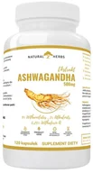 Witaminy i minerały - AltoPharma, Ashwagandha Ekstrakt 500mg 9% WITANOLIDÓW Żeń Szeń Indyjski, 120 kaps. - miniaturka - grafika 1