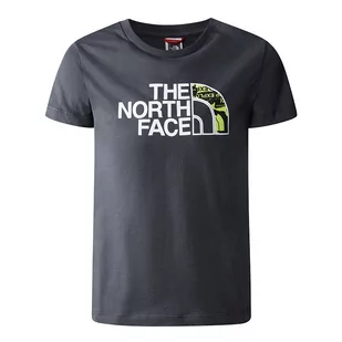 Koszulka The North Face Easy 0A82GH0C51 - szara - Koszulki sportowe damskie - miniaturka - grafika 1
