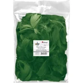 Pasmanteria - Piórka dekoracyjne 16g, 5-12 cm TItanum Ciemnozielony - miniaturka - grafika 1