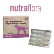 Suplementy i witaminy dla psów - NUTRAVET Nutraflora For Dogs & Cats 12kaps - Probiotyk o wysokiej sile wspomagający codzienne zdrowie jelit i odporności - miniaturka - grafika 1