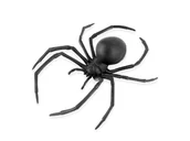 Halloween - Dekoracja Czarna Wdowa na Halloween - 16 cm - 1 szt. - miniaturka - grafika 1