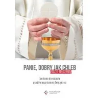 Religia i religioznawstwo - ks. Marcin Węcławski Panie dobry jak chleb Spotkania dla rodziców przed Pierwszą Komunią Świętą dzieci Zeszyt katechis - miniaturka - grafika 1