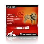 Artykuły przeciw pasożytom - Fiprex Spot-On XL (psy 40-55kg) 1 pipeta 1191 - miniaturka - grafika 1
