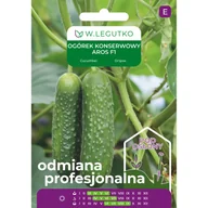 Nasiona i cebule - Ogórek konserwowy Aros F1 nasiona W.Legutko - miniaturka - grafika 1