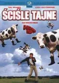Filmy fabularne DVD - Ściśle tajne (Top Secret) [DVD] - miniaturka - grafika 1
