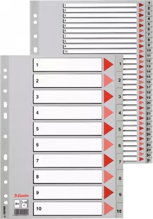 Esselte PRZEKŁADKI PP SZARE NUMERYCZNE A4 1-10 - Segregatory - miniaturka - grafika 1