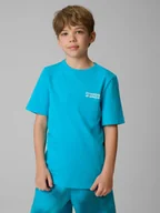 Koszulki dla chłopców - 4F T-shirt regular z nadrukiem chłopięcy - niebieski 164 (13-14 lat) - miniaturka - grafika 1