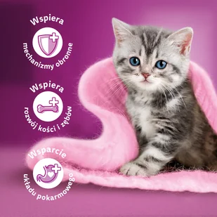 WHISKAS Junior 2x14 kg - sucha karma dla dla kociąt, z pysznym kurczakiem - Sucha karma dla kotów - miniaturka - grafika 9