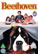 Filmy obyczajowe DVD - Beethoven - miniaturka - grafika 1