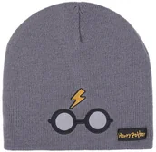 Czapki damskie - Czapka zimowa Harry Potter rozmiar uniwersalny - miniaturka - grafika 1