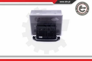 Sterownik, oświetlenie Esen SKV 59SKV064 - Oświetlenie samochodowe - akcesoria - miniaturka - grafika 1