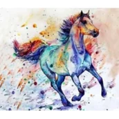 Malowanie po numerach - Malowanie po numerach. Koń w galopie kolor 40 x 50 5616 - Norimpex - miniaturka - grafika 1