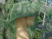 Moskitiery - MOSKITIERA  ARMII BRYTYJSKIEJ NOWA KONTRAKT - miniaturka - grafika 1