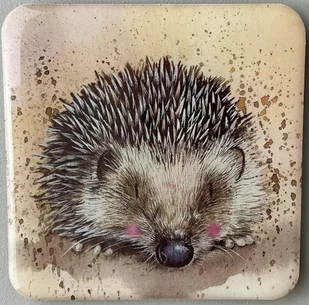 Teka Magnes FM188 Jeż Harriet - Magnesy - miniaturka - grafika 1
