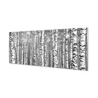 Dekoracje domu - Panel szkło hartowane Czarno-białe drzewa 125x50 cm - miniaturka - grafika 1