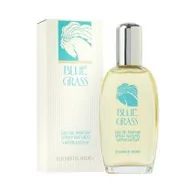 Wody i perfumy damskie - Elizabeth Arden Blue Grass woda perfumowana 100ml - miniaturka - grafika 1