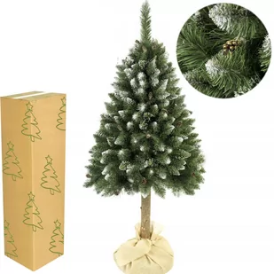 Choinka Sosna Diamentowa Na Pniu 180 Cm - Choinki Choinka Sosna Diamentowa Na Pniu 180 Cm - Choinki - miniaturka - grafika 1
