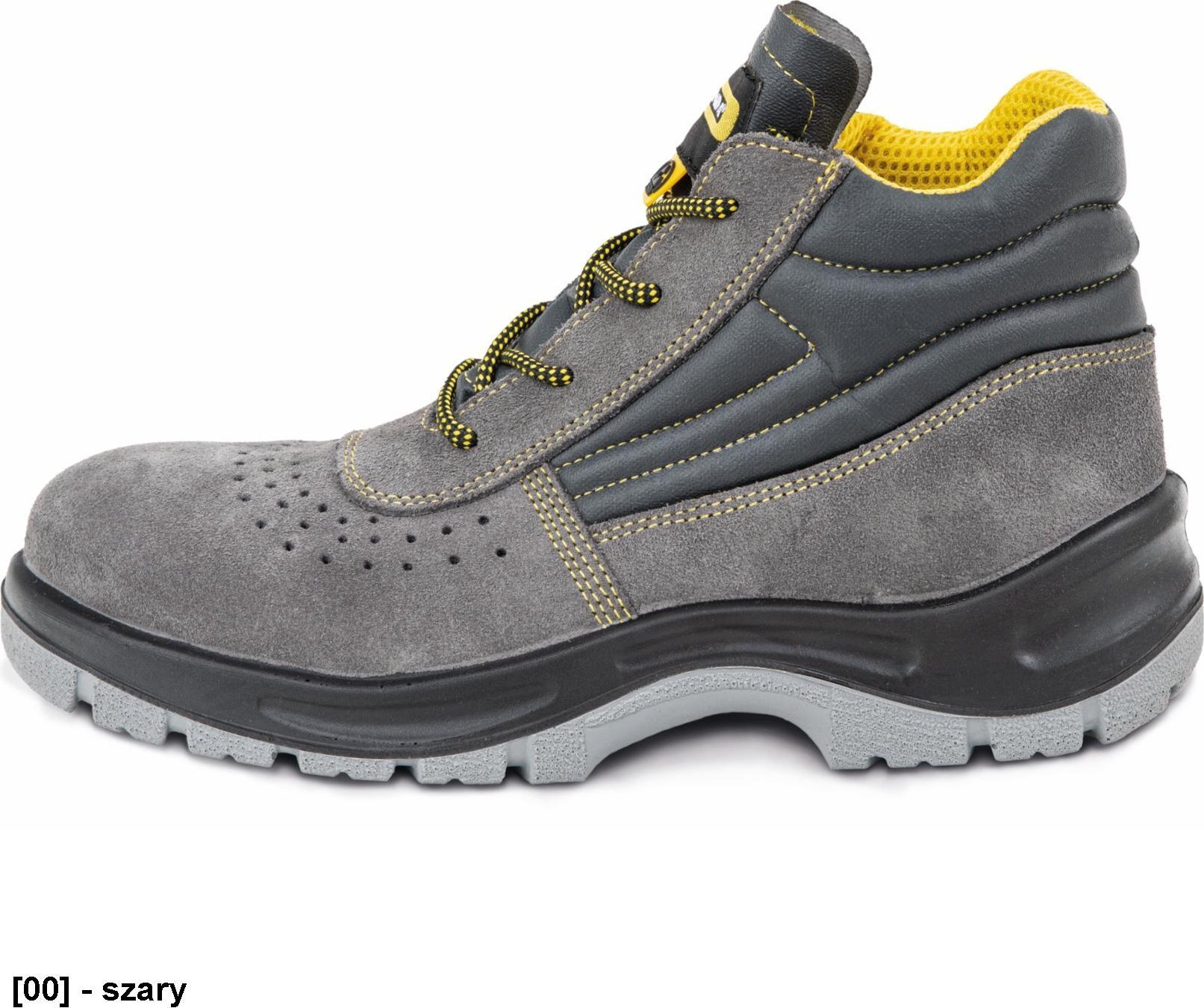 CERVA SVEVA MF ESD S1P SRC - trzewiki 42