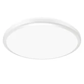 Lampy sufitowe - Sufitowa lampa do ogrodu Planar 4208 Ideus LED 24W 4200K oprawa hermetyczna IP54 biała - miniaturka - grafika 1