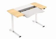 Biurka - BIURKO Z REGULACJĄ WYSOKOŚCI HALDEN ELEKTRYCZNE BIAŁE - miniaturka - grafika 1