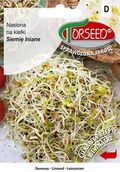 Nasiona i cebule - Siemię lniane, nasiona na kiełki 10g - Torseed - miniaturka - grafika 1