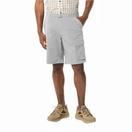 Spodenki męskie - Krótkie spodenki męskie Jack Wolfskin WANDERTHIRST SHORTS M cool grey - 46 - miniaturka - grafika 1