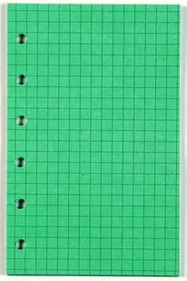 Antra Wkład do segregatora A5 kratka kolorowa linia - zielona - Szkolne artykuły papiernicze - miniaturka - grafika 1