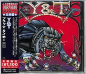 Rock - Y&T - Black Tiger - miniaturka - grafika 1