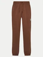 Spodnie sportowe damskie - Reebok Spodnie dresowe Cl Ae Pant 100202799 Brązowy Regular Fit - miniaturka - grafika 1