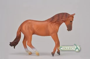 Collecta Ogier rasy Australian stock horse kasztan - Figurki dla dzieci - miniaturka - grafika 1
