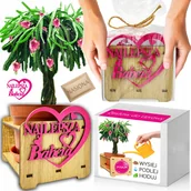 Nasiona i cebule - Prezent na DZIEŃ BABCI Pitaja Smoczy Owoc Zestaw do uprawy Nasiona - miniaturka - grafika 1