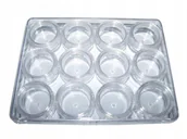 Akcesoria do paznokci - Zestaw Słoiczki Zakręcane Pojemniczki Na Ozdoby 12 - miniaturka - grafika 1