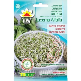 TORAF KIEŁKI Lucerna Alfalfa nasiona 20g - Nasiona i cebule - miniaturka - grafika 1