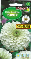 Nasiona i cebule - Cynia daliowa Purity biała 1 g POLAN - miniaturka - grafika 1