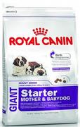 Royal Canin Giant Starter Mother&Babydog 15 kg