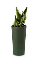 Donice - Doniczka Donica Osłonka WYSOKA KWIETNIK PALMÓWKA 46cm z WKŁADEM Zielona do Salonu Ogrodu Taras - miniaturka - grafika 1