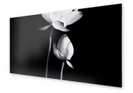 Dekoracje domu - Panel kuchenny HOMEPRINT Czarno biały kwiat lotosu 140x70 cm - miniaturka - grafika 1