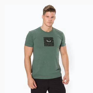 Koszulki sportowe męskie - Salewa Koszulka trekkingowa męska Pure Box Dry 5326 zielona 28378 - grafika 1