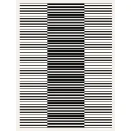 Dywany - Dywan Casa 120 x 160 cm zebra biało-czarny - miniaturka - grafika 1